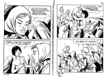 Elvifrance - Contes satyriques - 039 - Polichinel : page 95