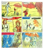 Elvifrance - Cosmine - 002 - L'ère d'après la bombe : page 30