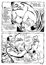 Elvifrance - EF Pop Comix - 001 - Le conard dechaine : page 11