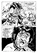 Elvifrance - EF Pop Comix - 001 - Le conard dechaine : page 74