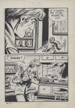 Elvifrance - Electrochoc - 050 - La jeune mariée : page 29