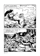 Elvifrance - Electrochoc - 056 - Le monstre marin : page 13