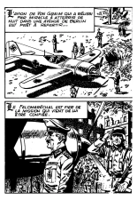 Elvifrance - Hitler - 001 - Les Derniers jours : page 44
