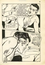 Elvifrance - Hors série noire - 033 - Le dindon de la farce : page 35