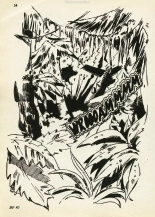 Elvifrance - Hors série verte - 015 - J'ai dix mille ans : page 34