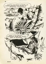 Elvifrance - Hors série verte - 015 - J'ai dix mille ans : page 38