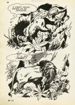 Elvifrance - Hors série verte - 015 - J'ai dix mille ans : page 42