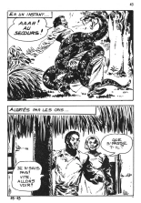 Elvifrance - Hors-serie bleu - 85 - Eve et le serpent : page 43