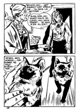 Elvifrance - Hors-serie bleu - T08 - La Mort Invisible : page 32