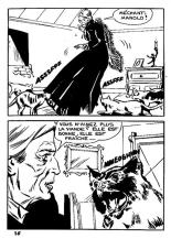 Elvifrance - Hors-serie bleu - T08 - La Mort Invisible : page 42