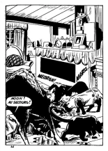 Elvifrance - Hors-serie bleu - T08 - La Mort Invisible : page 45