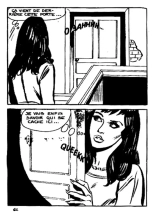 Elvifrance - Hors-serie bleu - T08 - La Mort Invisible : page 66