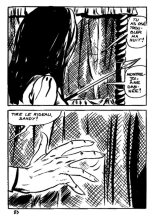 Elvifrance - Hors-serie bleu - T08 - La Mort Invisible : page 87