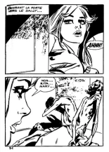 Elvifrance - Hors-serie bleu - T08 - La Mort Invisible : page 95