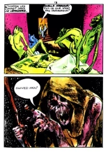 Elvifrance - Hors-serie Couleur 001 - Le Brahmane Noir : page 17