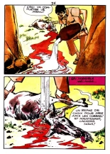 Elvifrance - Hors-serie Couleur 001 - Le Brahmane Noir : page 79