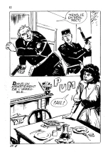 ElviFrance HORS-SERIE NOIRE N°21 - Ménage à trois : page 14