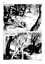 Elvifrance - Hors-serie rouge - 21 - Tu renaîtras de mes cendres : page 35