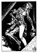 Elvifrance - Hors-serie rouge - A12 - Le vampire noir : page 98