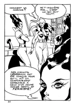 Elvifrance - Hors-serie vert - A16 - Les mésaventures de Stéphania Médiolanum : page 22