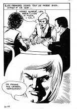 Elvifrance - HS noire - 019 - La bande des kamikazes : page 29