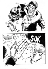 Elvifrance - HS noire - 019 - La bande des kamikazes : page 176