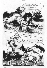 Elvifrance - Incube - 059 - Le dernier chevalier : page 11