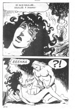 Elvifrance - Incube - 059 - Le dernier chevalier : page 48