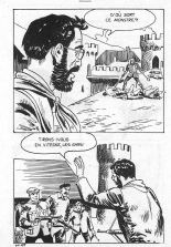 Elvifrance - Incube - 059 - Le dernier chevalier : page 163