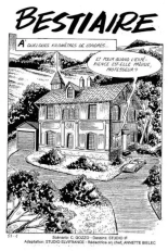 Elvifrance - Incube - 51 - Bestiaire page 5