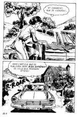 Elvifrance - Incube - 51 - Bestiaire page 11