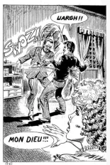 Elvifrance - Incube - 51 - Bestiaire page 66