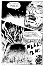 Elvifrance - Incube - 51 - Bestiaire page 85