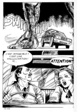 Elvifrance - Incube - 51 - Bestiaire page 114