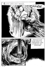 Elvifrance - Incube - 51 - Bestiaire page 119