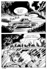 Elvifrance - Incube - 51 - Bestiaire page 150