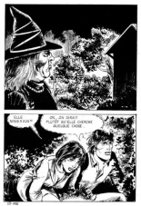 Elvifrance - Incube - 51 - Bestiaire page 160