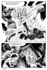 Elvifrance - Incube - 51 - Bestiaire page 162