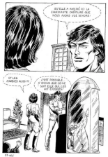 Elvifrance - Incube - 51 - Bestiaire page 169