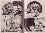 Elvifrance - Incube - 57 - Horribles Ténèbres : page 69