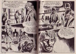 Elvifrance - Incube - 57 - Horribles Ténèbres : page 80