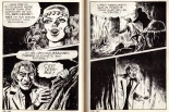 Elvifrance - Incube - 57 - Horribles Ténèbres : page 105