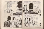 Elvifrance - Incube - 72 - Le Règne de la Terreur : page 13