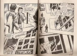 Elvifrance - Incube - 72 - Le Règne de la Terreur : page 67