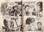 Elvifrance - Incube - 72 - Le Règne de la Terreur : page 71