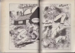 Elvifrance - Incube - 77 - Impulsion vitale : page 22