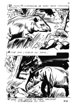 Elvifrance - Jacula - T052 - Wolf Revient ! : page 25