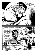 Elvifrance - Joyeuses Story - 05 - Le Roi Richard : page 163