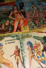 Elvifrance - Jungla - HS - Dossier : page 29