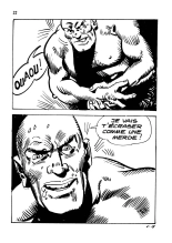 Elvifrance - Karzan - 06 - Février 1977 : page 22